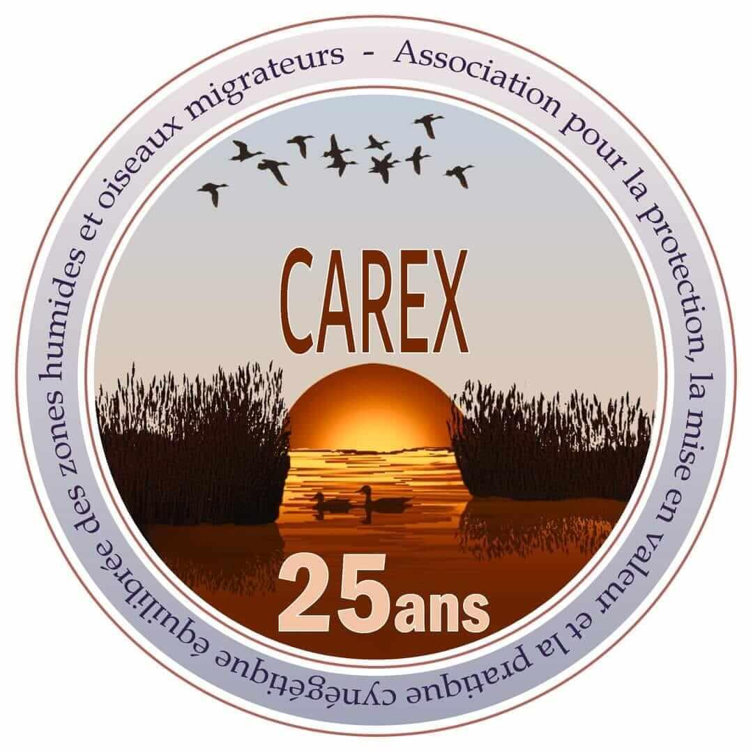 25 ans carex